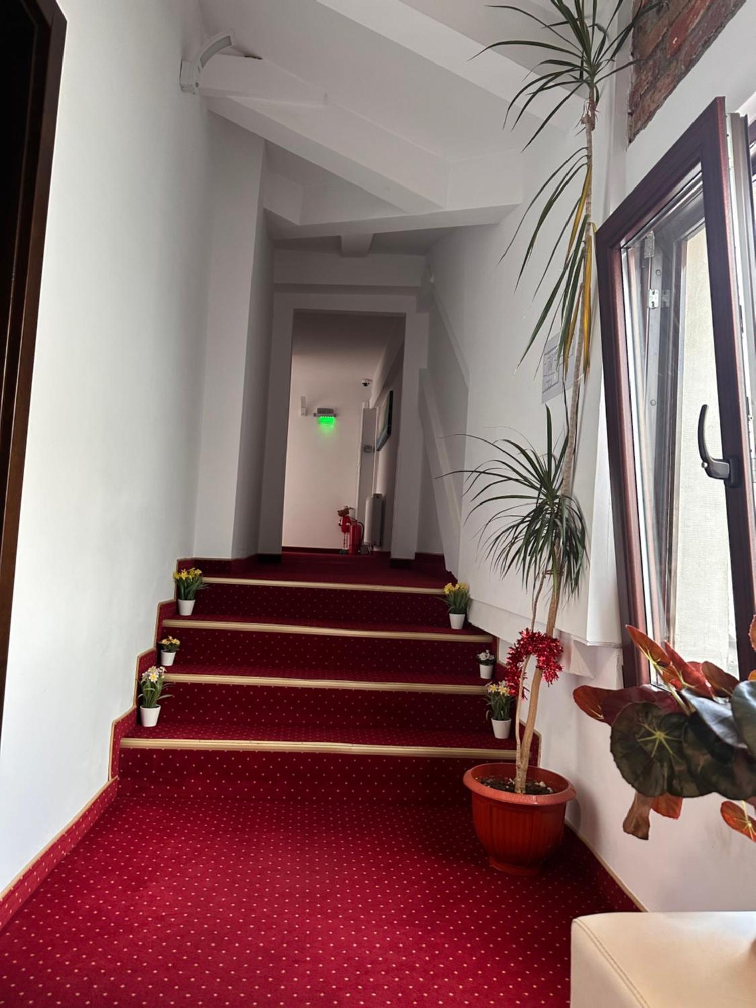 Pensiunea Sada Fagaras Exterior foto